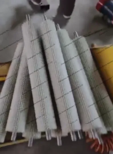 800–1000 Kg/H Cleaning And Peeling Machine For A Peruvian Customer 2 Brush roller of the washing peeling machine