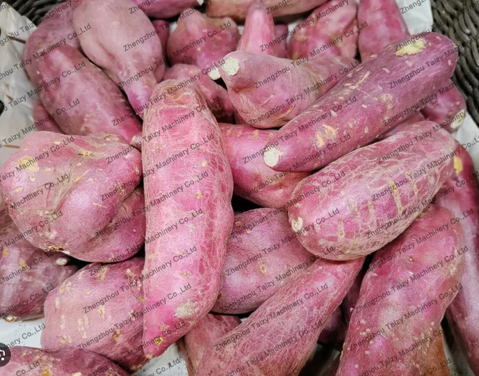 Sweet potato for the root vegetable harvester